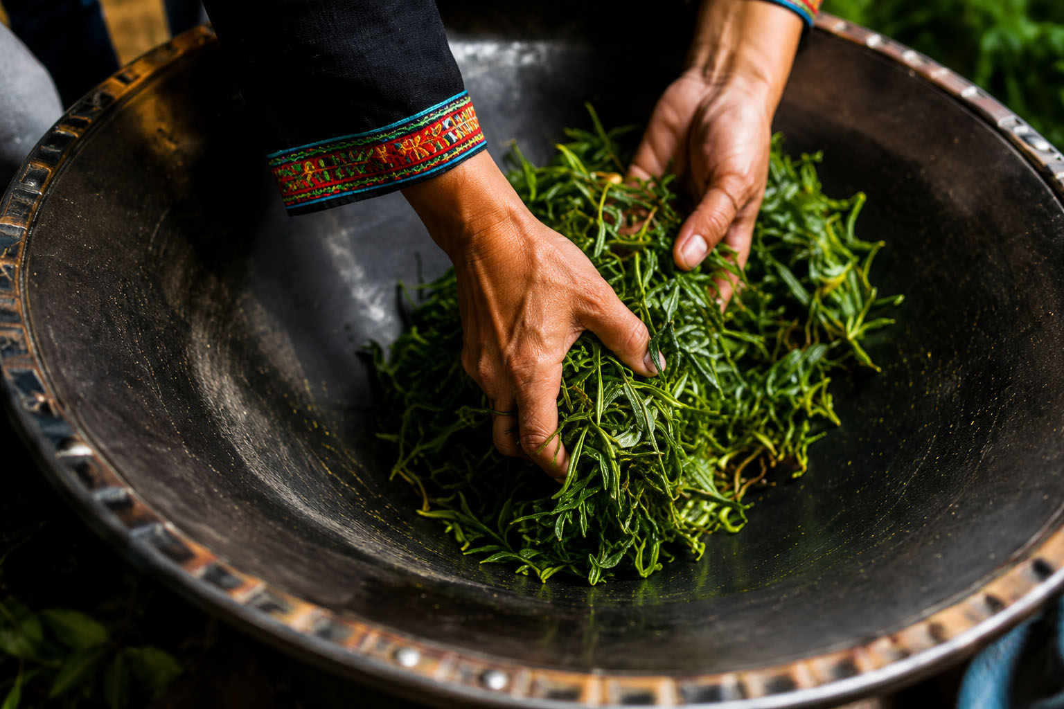 Truyền nghề 2 phẩm trà