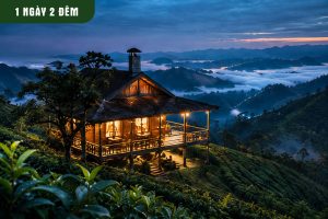 Tour du lịch: Thưởng lãm đêm mây Suối Giàng