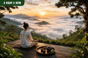 Tour du lịch: Retreat trà – Đỉnh núi mờ sương